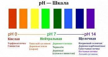 Поточная линия "Диметрон" для определения кислотности (pH) в почвенных растворах СИБАГРОПРИБОР  по лучшей цене с доставкой - интернет-магазин Прогрессивные решения