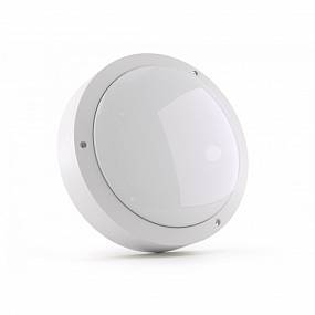 Купить NEWLED.SF15.10.M.5K.IP65 NEWLED по лучшей цене с доставкой - интернет-магазин Прогрессивные решения