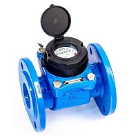 Купить Счетчик хол. воды ВСХН IP68-65 c индукционным съемом TEPLOVODOMER по лучшей цене с доставкой - интернет-магазин Прогрессивные решения